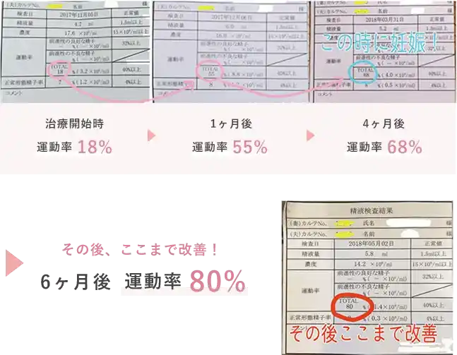 6ヶ月後 運動率80%